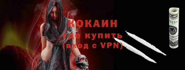 шишки Армянск