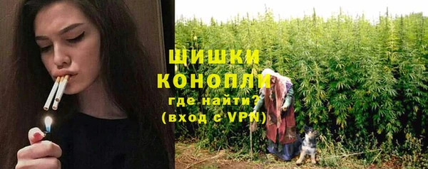 шишки Армянск
