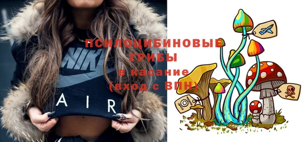 шишки Армянск
