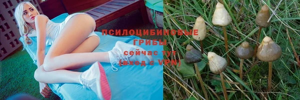 шишки Армянск