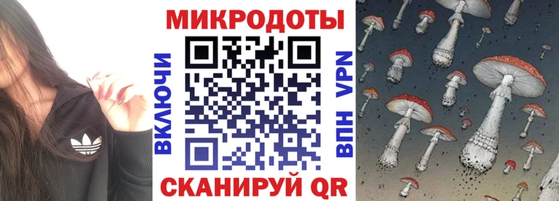 где купить наркоту  Строитель  Галлюциногенные грибы ЛСД 